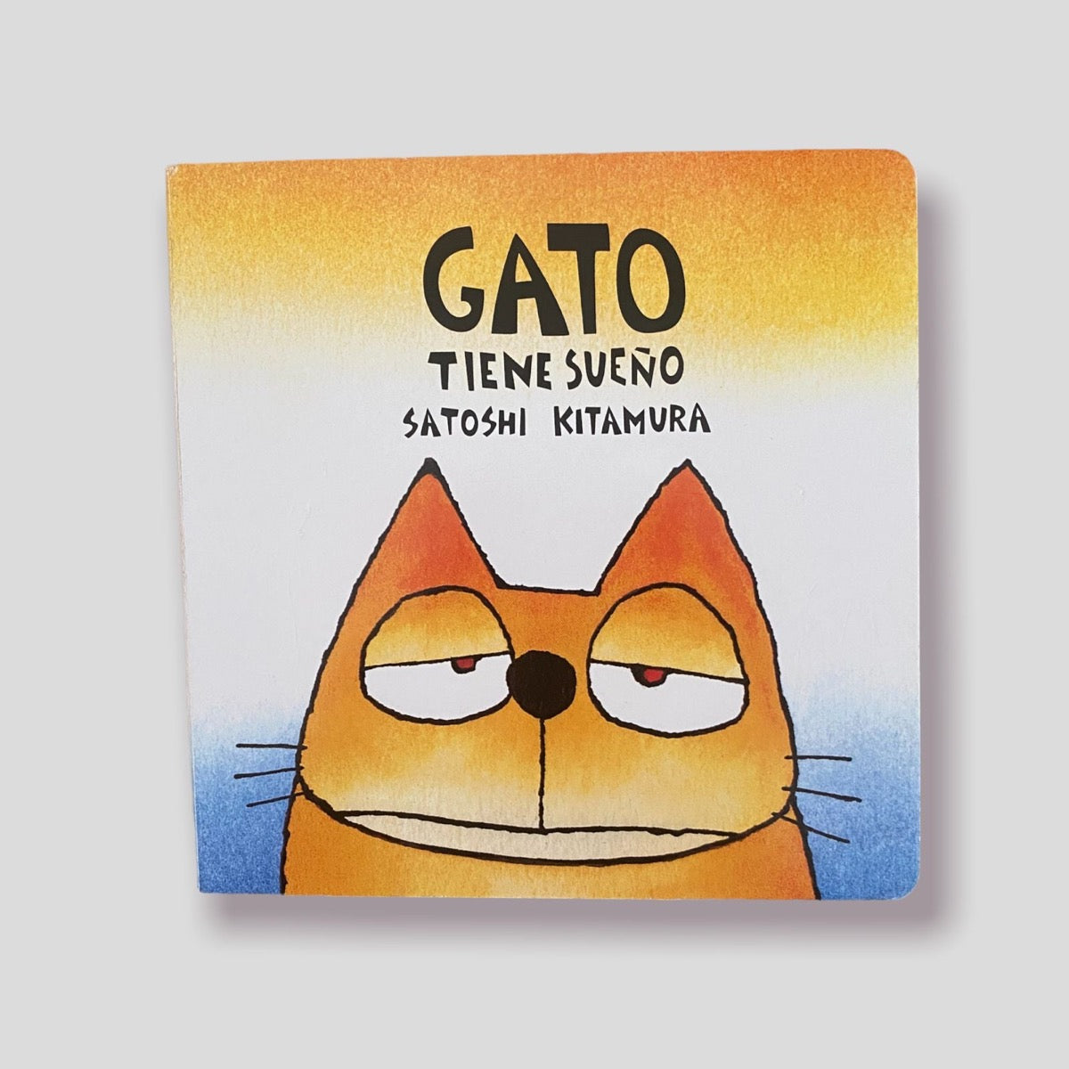 Gato tiene sueño